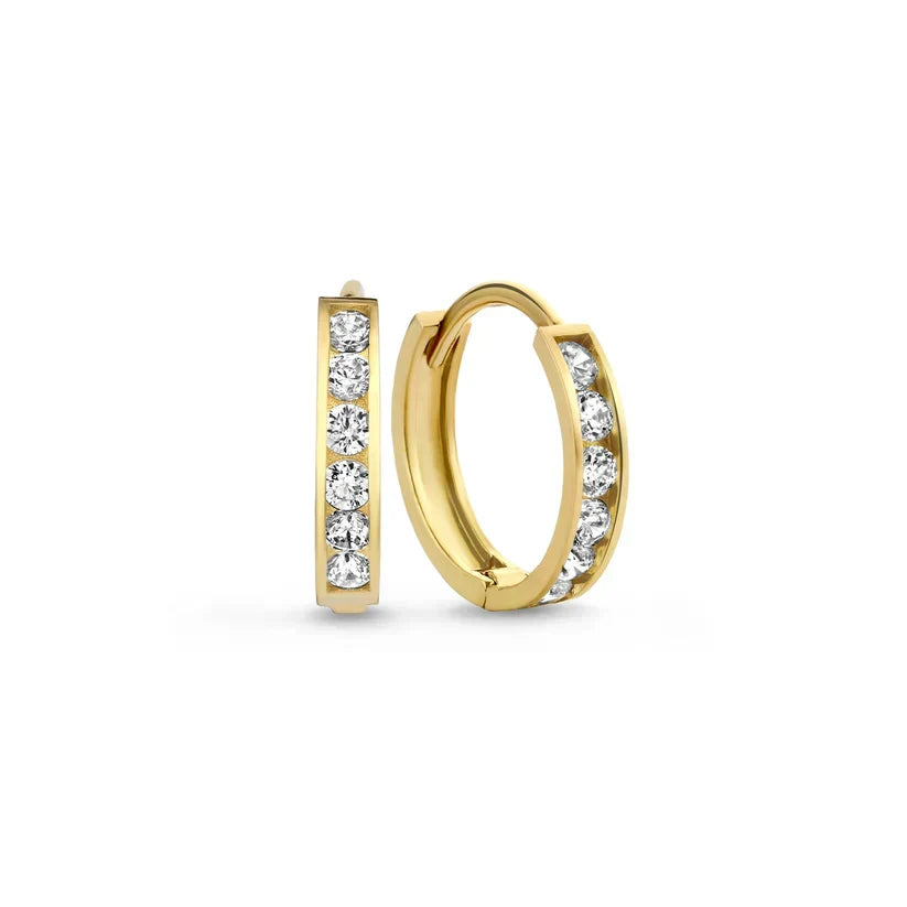 Brianne Gold Earrings with Stones