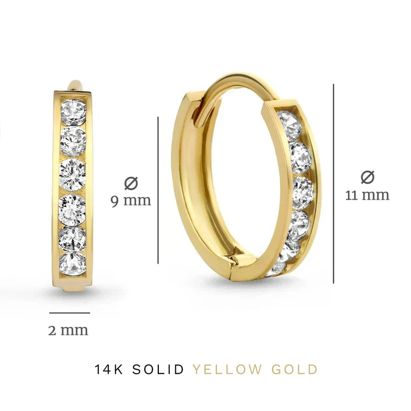 Brianne Gold Earrings with Stones